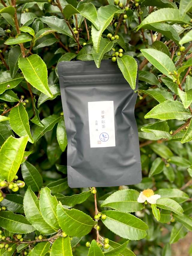 若輩紅茶(鴾)2026 30g