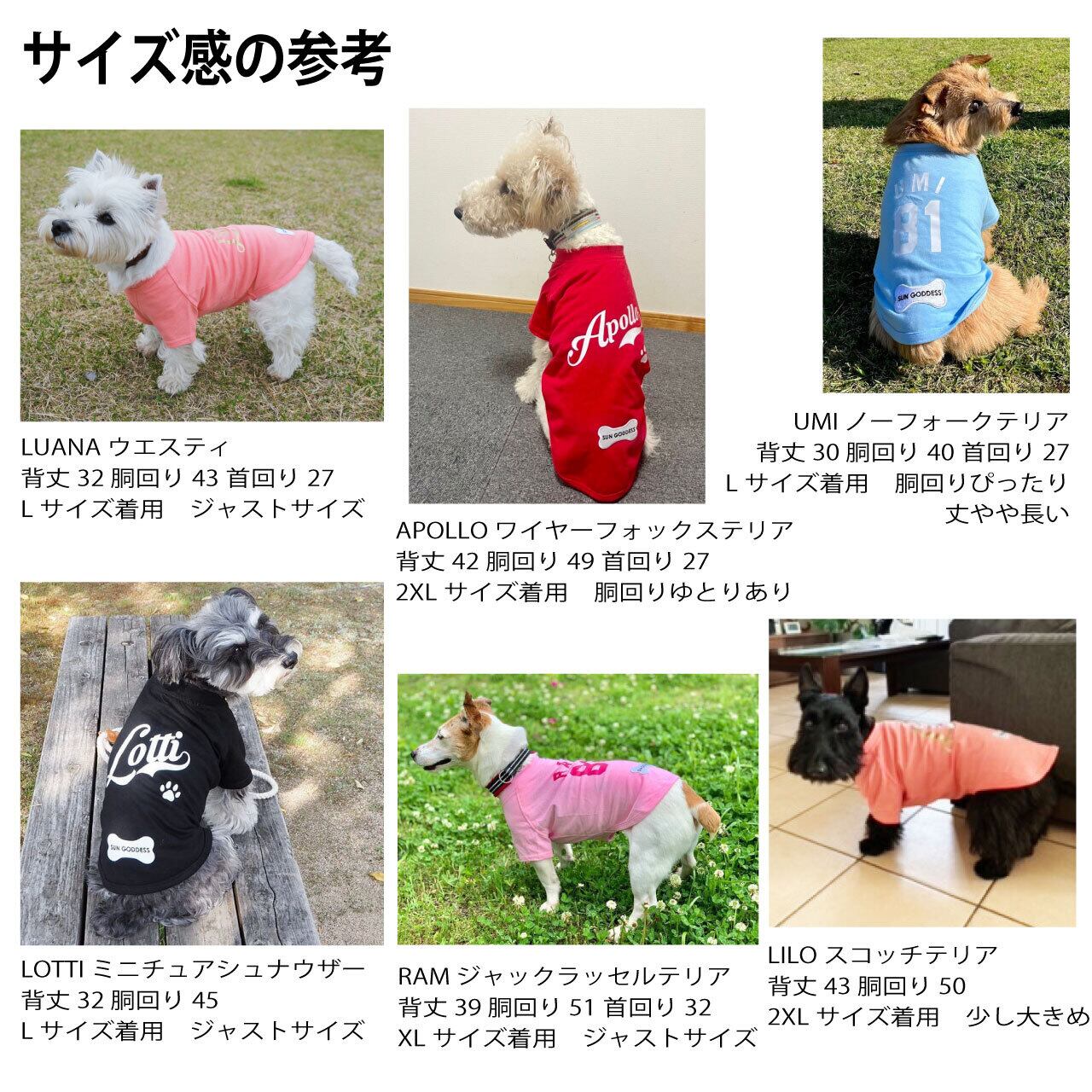 2XLサイズ ウエスティ Tシャツ コットン プリント 犬服 ドッグウエア