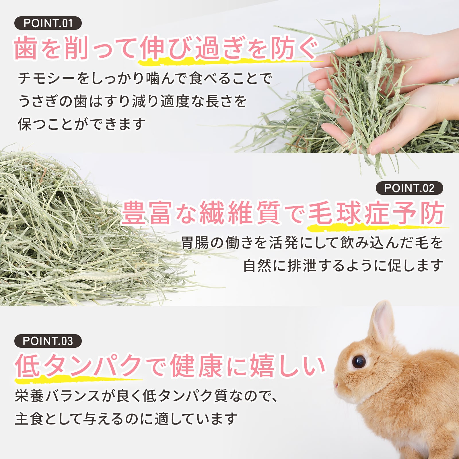 アメリカ産プレミアムチモシー2番刈りダブル 500g×6袋 | うさぎの牧草