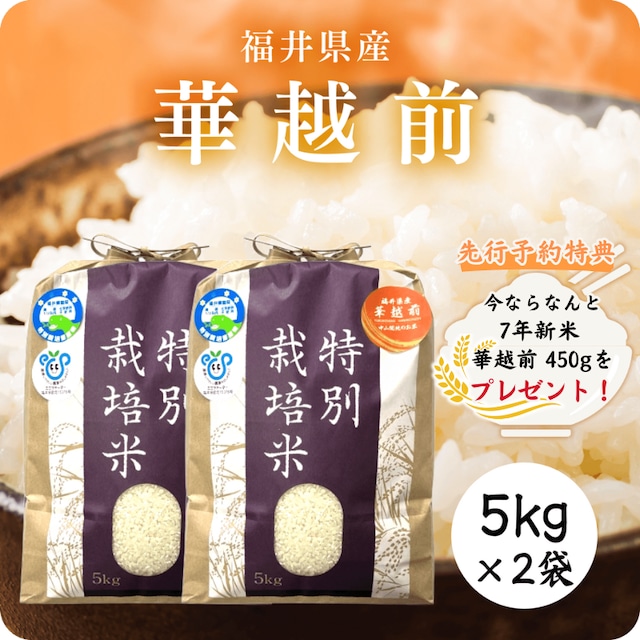 303】《令和7年産新米》 ミルキープリンセス- 5kg 特別栽培米 303】《令和7年産新米》 ミルキープリンセス- 5kg 特別栽培米