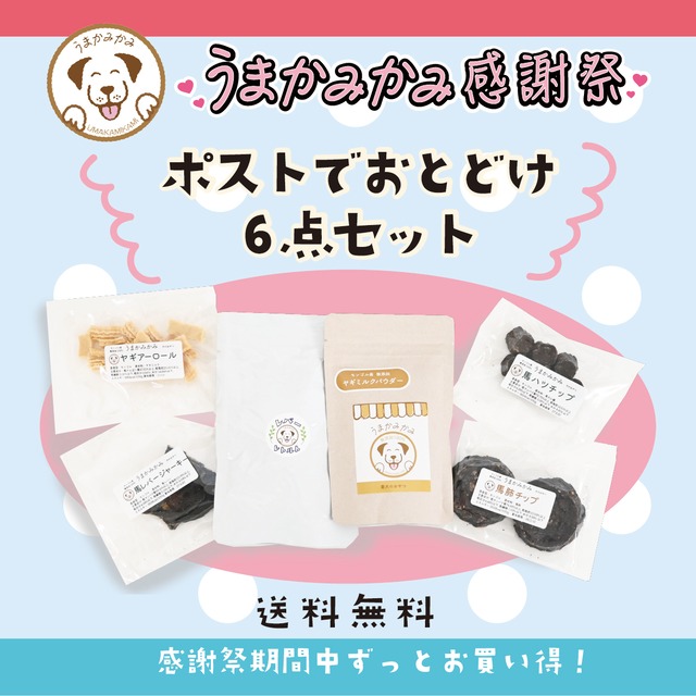 【感謝祭】ポストでお届け６点セット(送料無料)