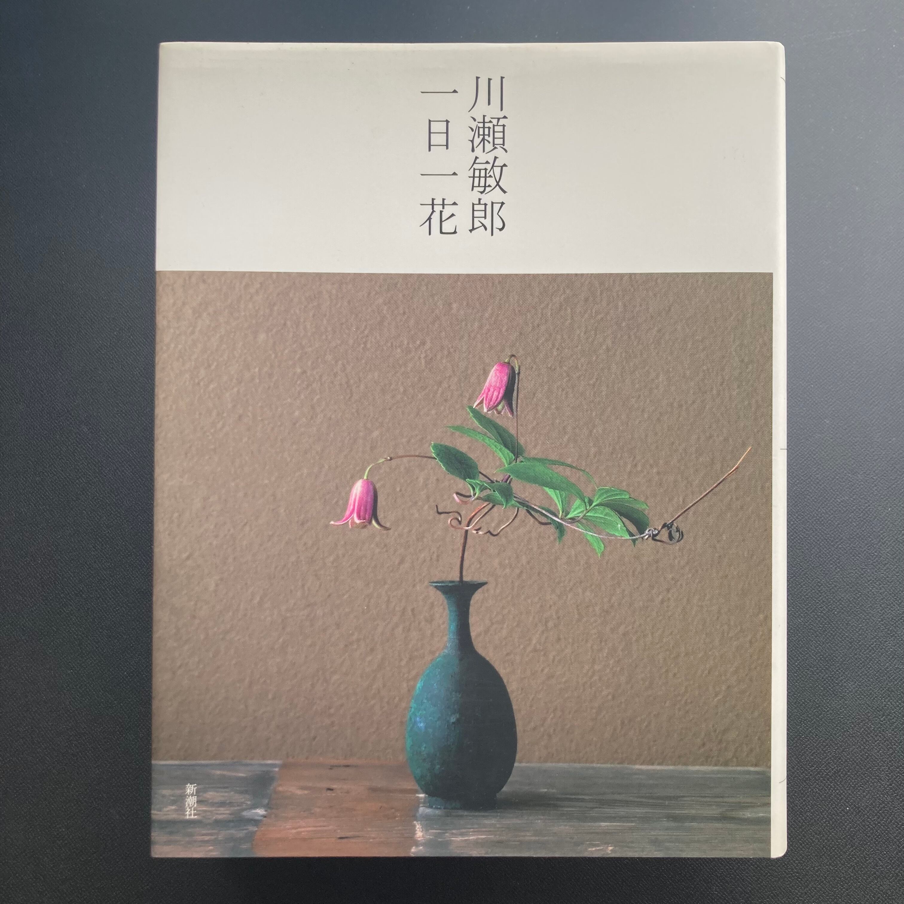 Points of View 視線の変遷 野又穫作品集 | ロムド書店