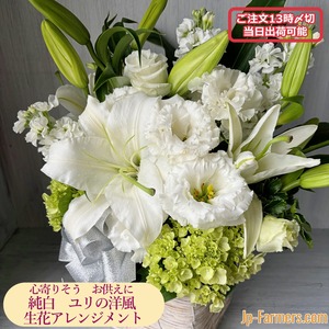 心寄りそう　純白　ユリの洋風お供え生花アレンジメント　【即日出荷可能/当日13時までの受注】
