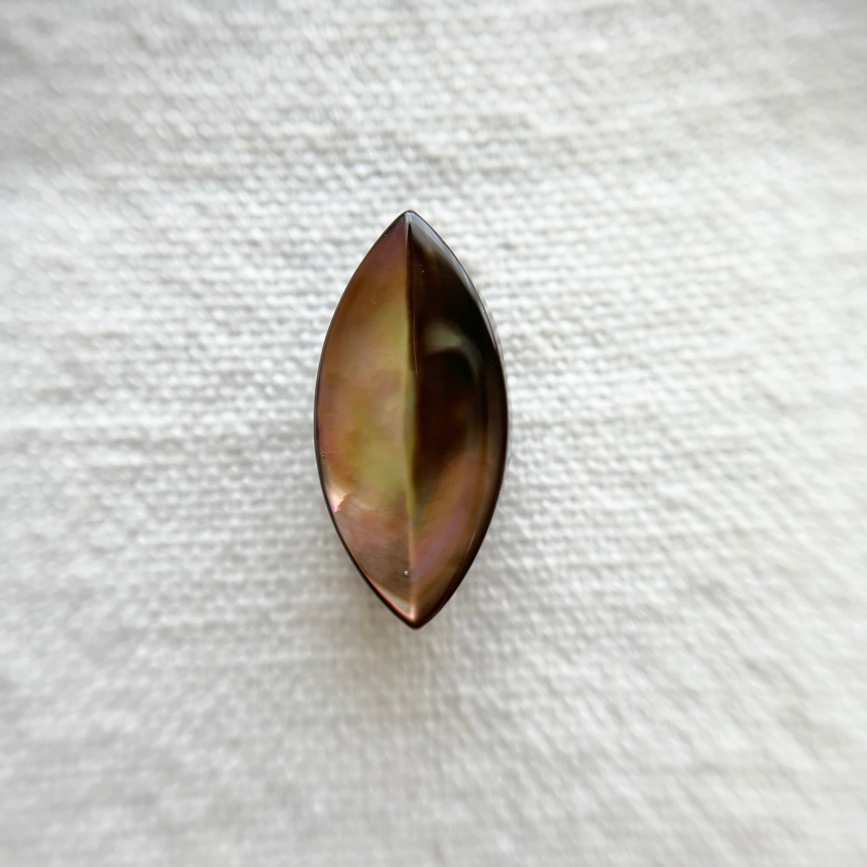 茶蝶貝シャープオーバル 20㎜