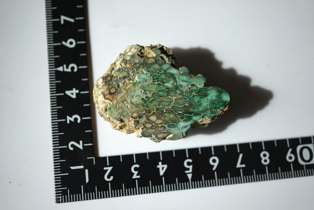 スペイン産ヴァリサイト Variscite 1498