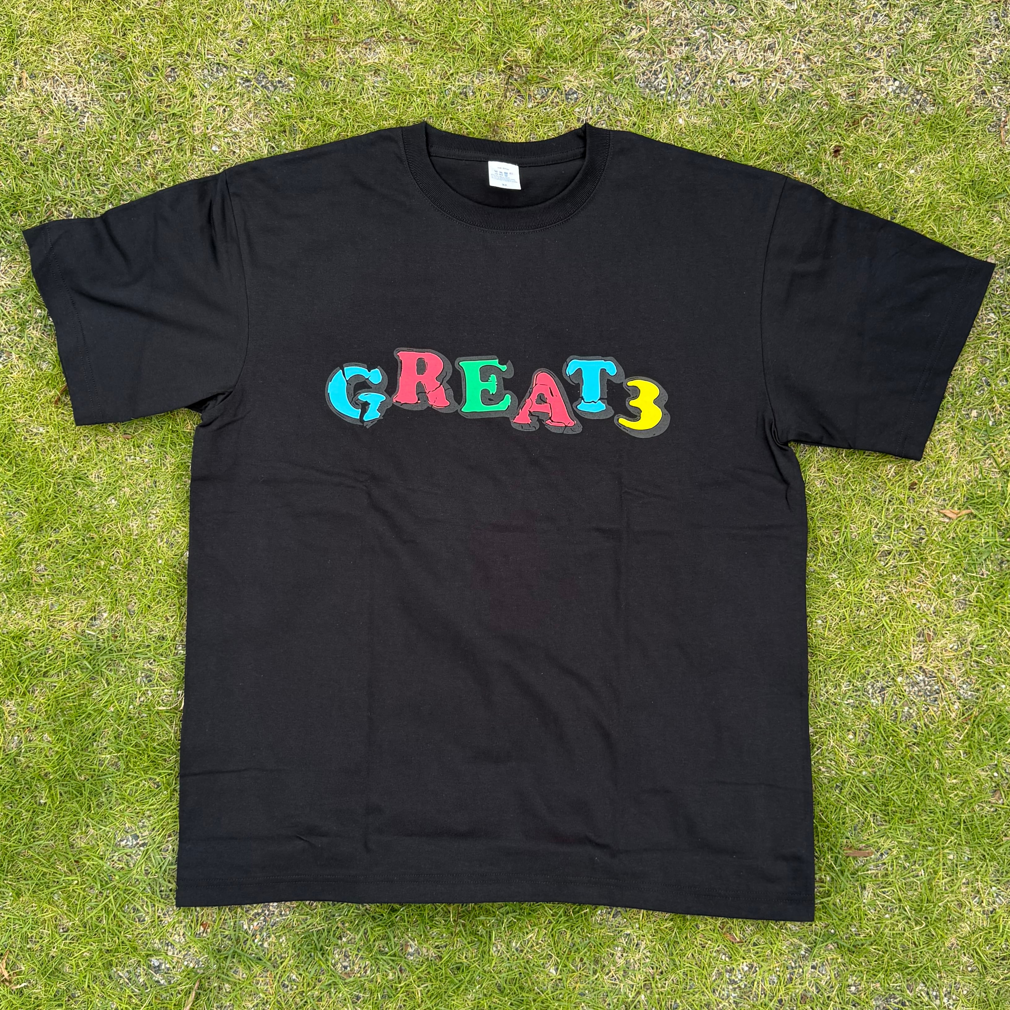 GREAT3 