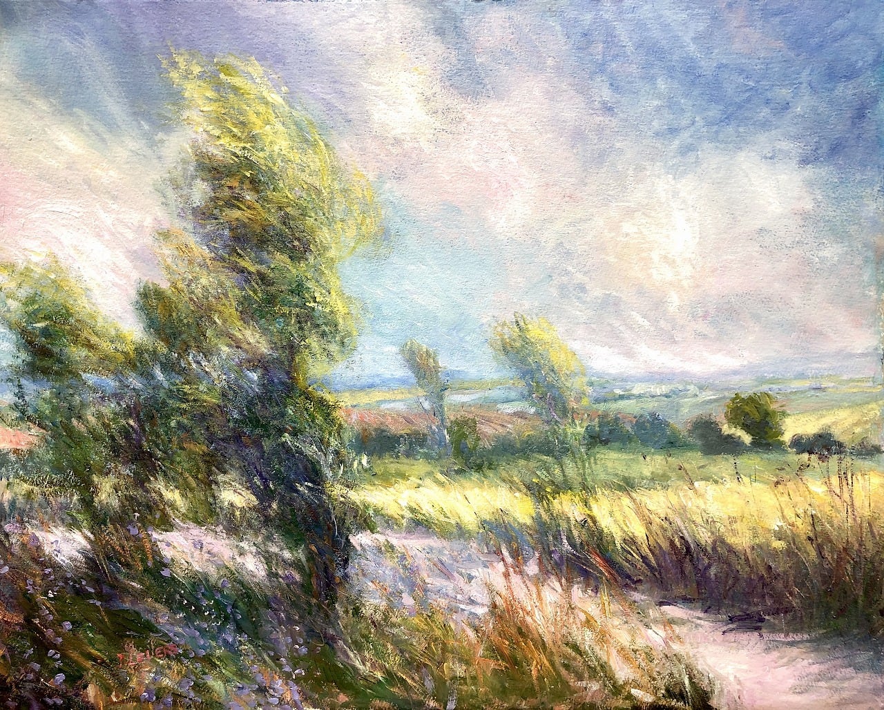 初夏の風 | Early Summer Wind