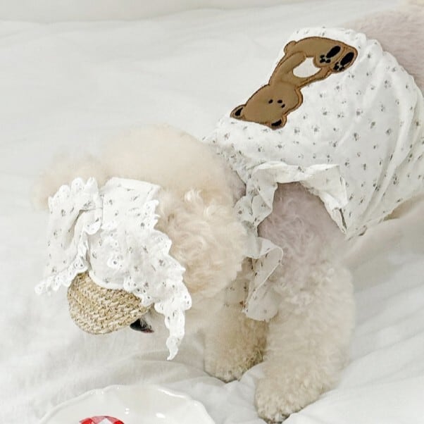 韓国犬服ブランド 韓国ブランド befloof のForebag 犬キャリー 海外犬