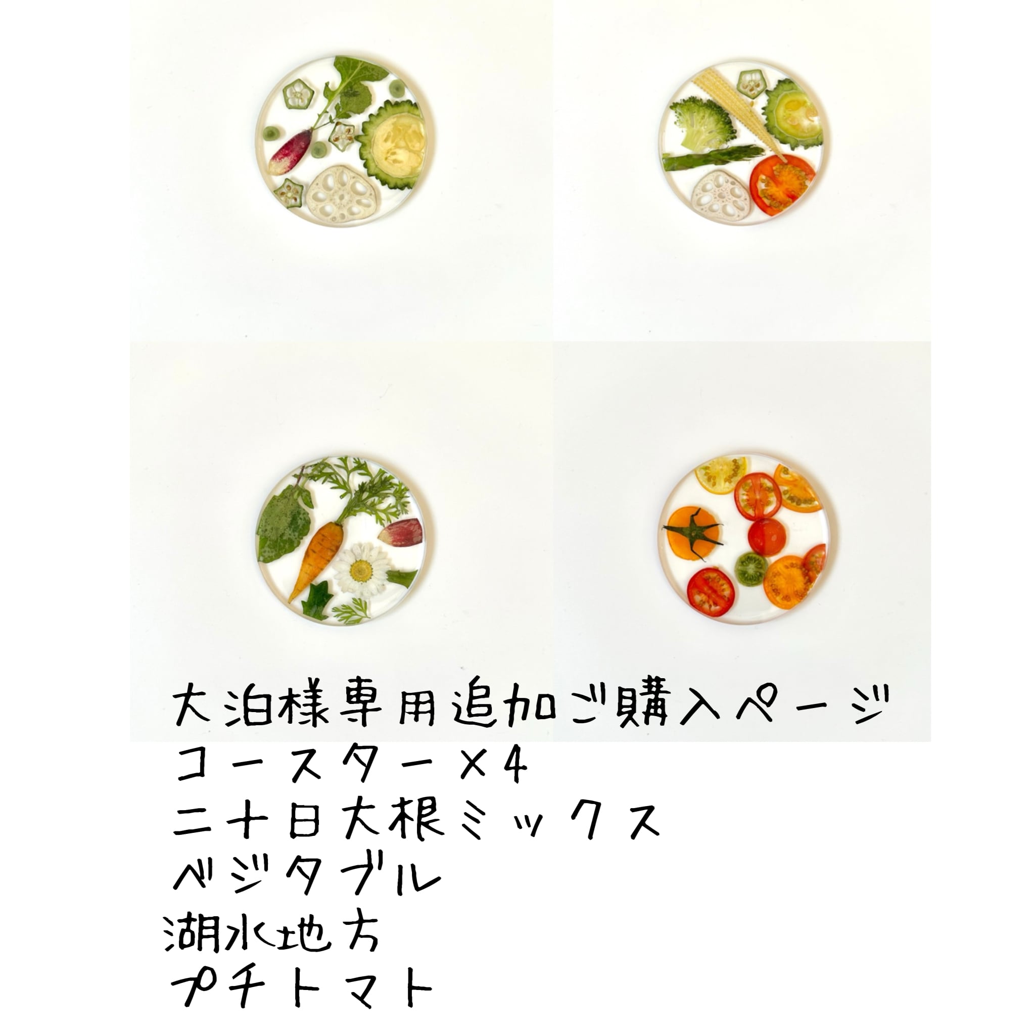 大泊様専用追加ご購入ページ コースター×4 二十日大根ミックス
