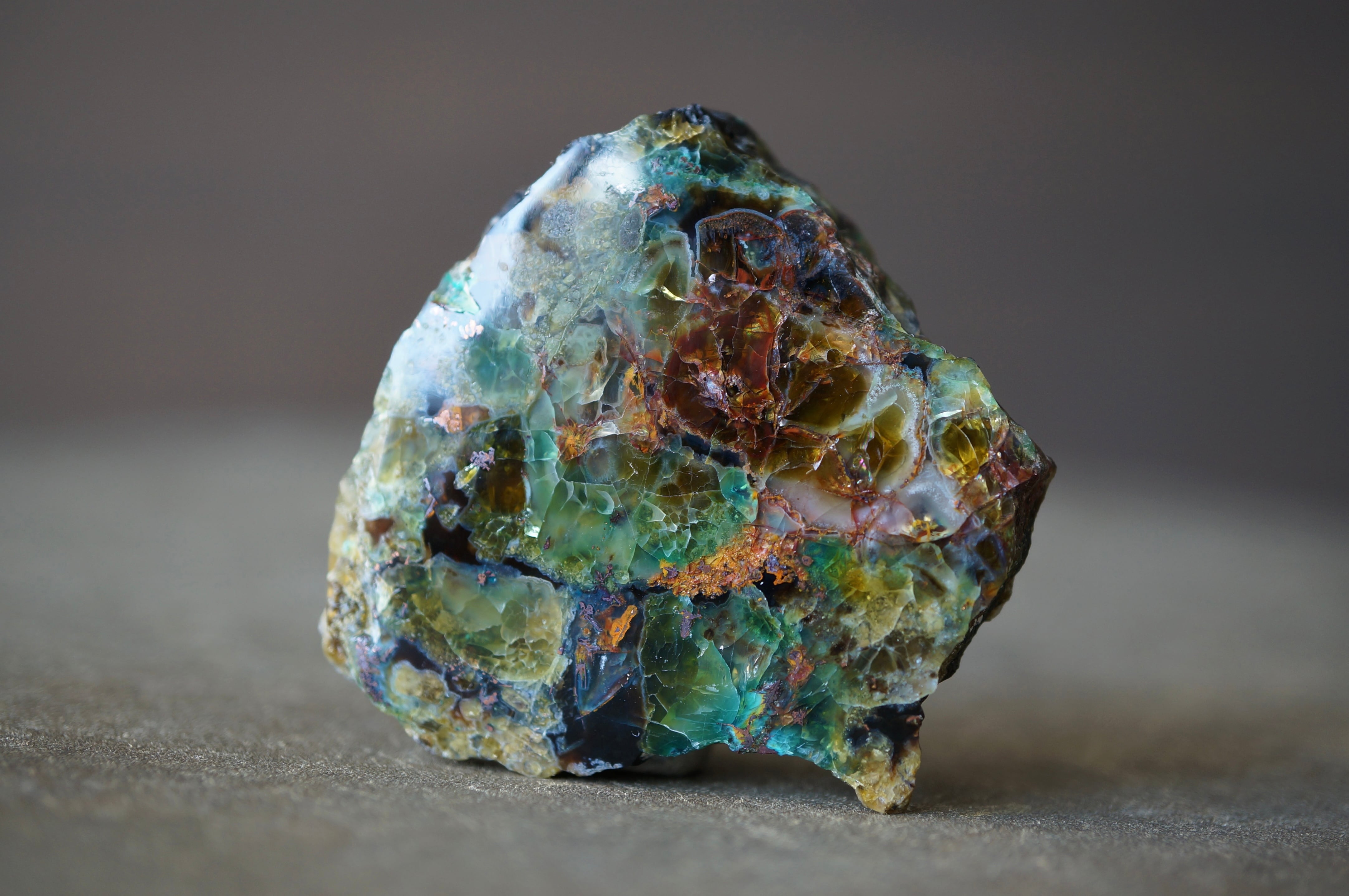 インドネシア産ペトリファイドウッド Petrified Wood 1177 | 叙景 jokei