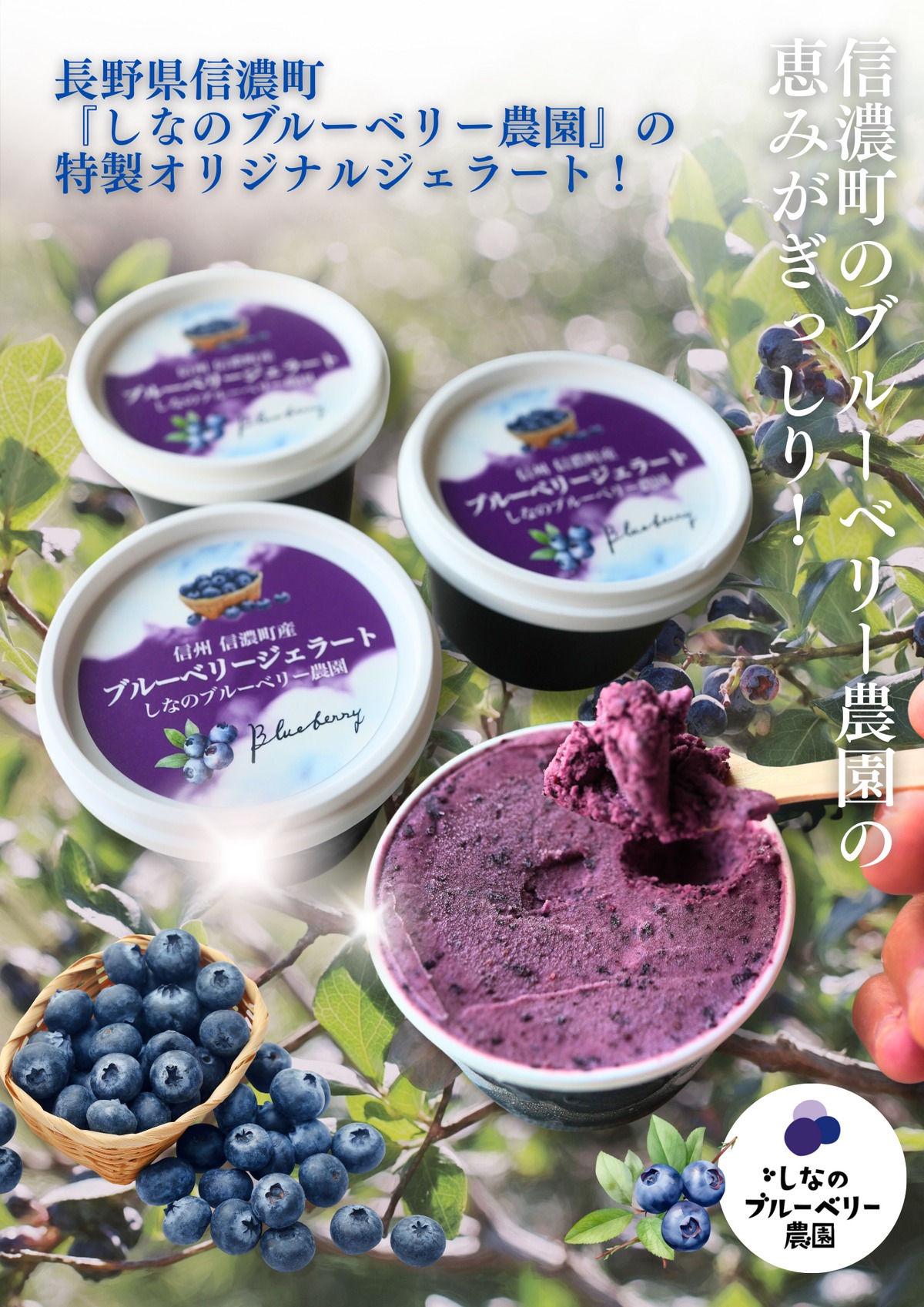 ブルーベリー 6b9744a2b63a036f8e120aacb9007e