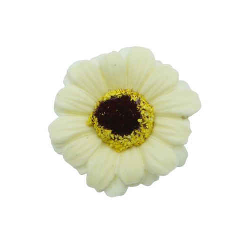 ミニガーベラMG-I2アイボリー (15輪入りor25輪入り)