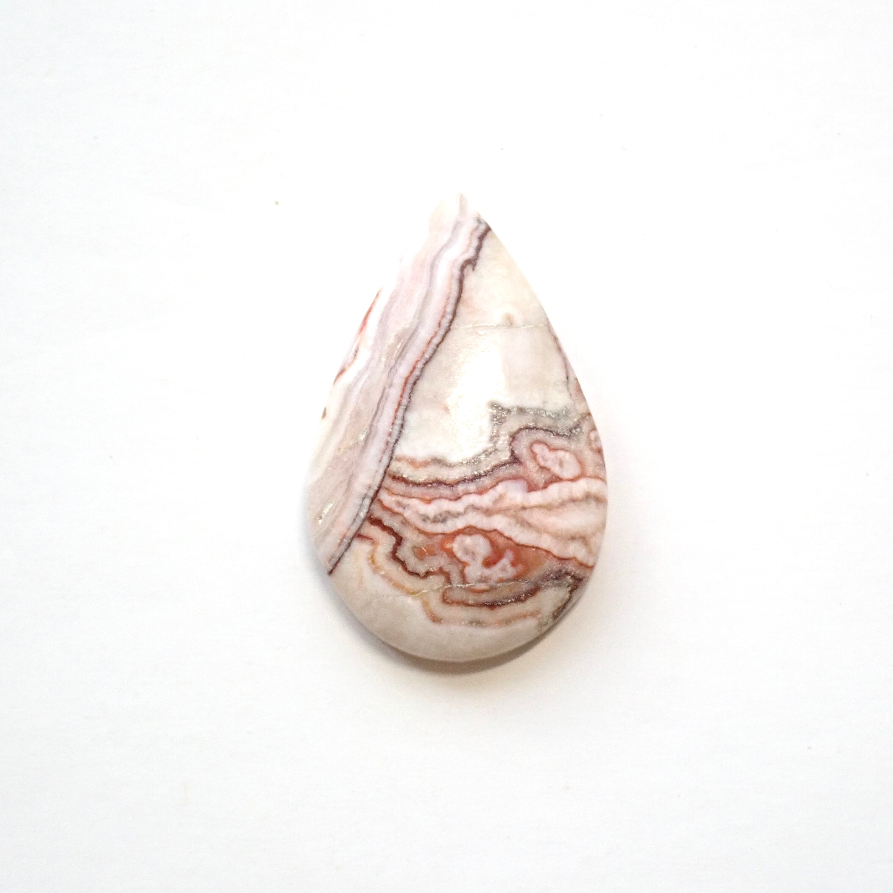 ロゼッタジャスパー 03