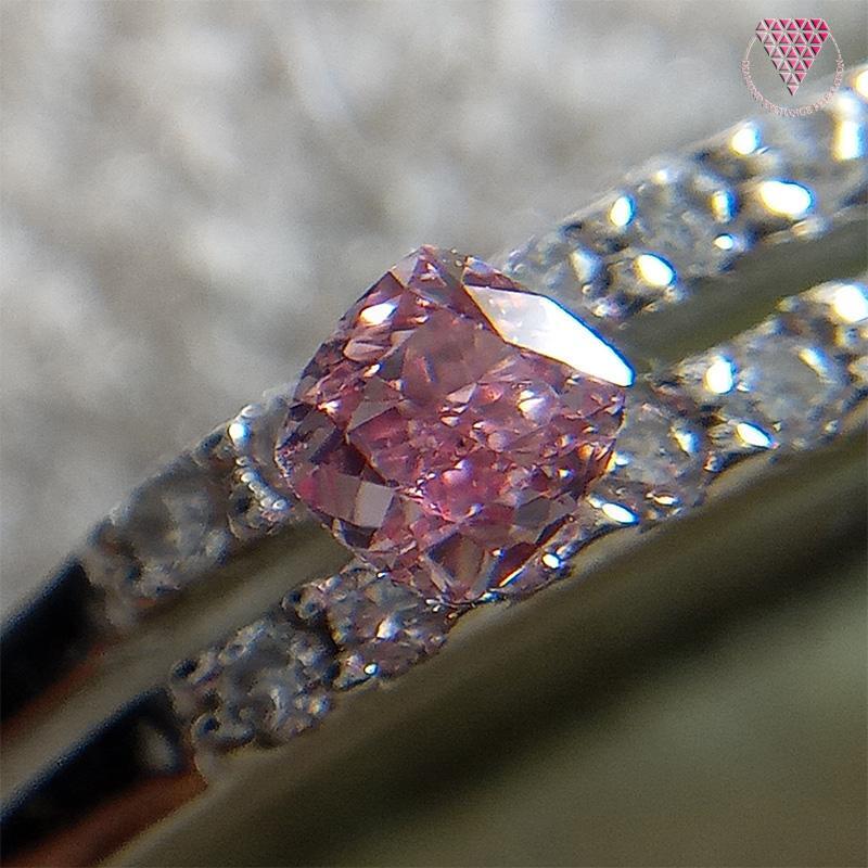 0.077 ct Fancy Vivid Purplish Pink VS2 CGL 天然 ピンク