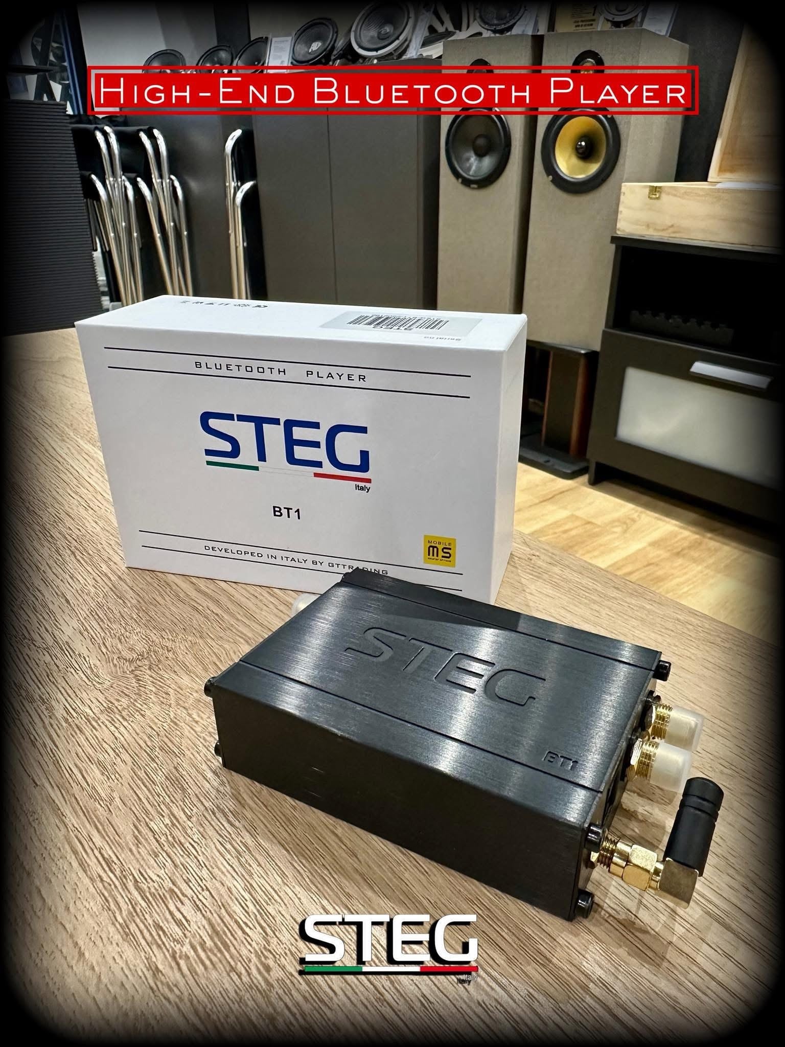 国内正規品】STEG 「BT1」 高音質Bluetoothオーディオレシーバー