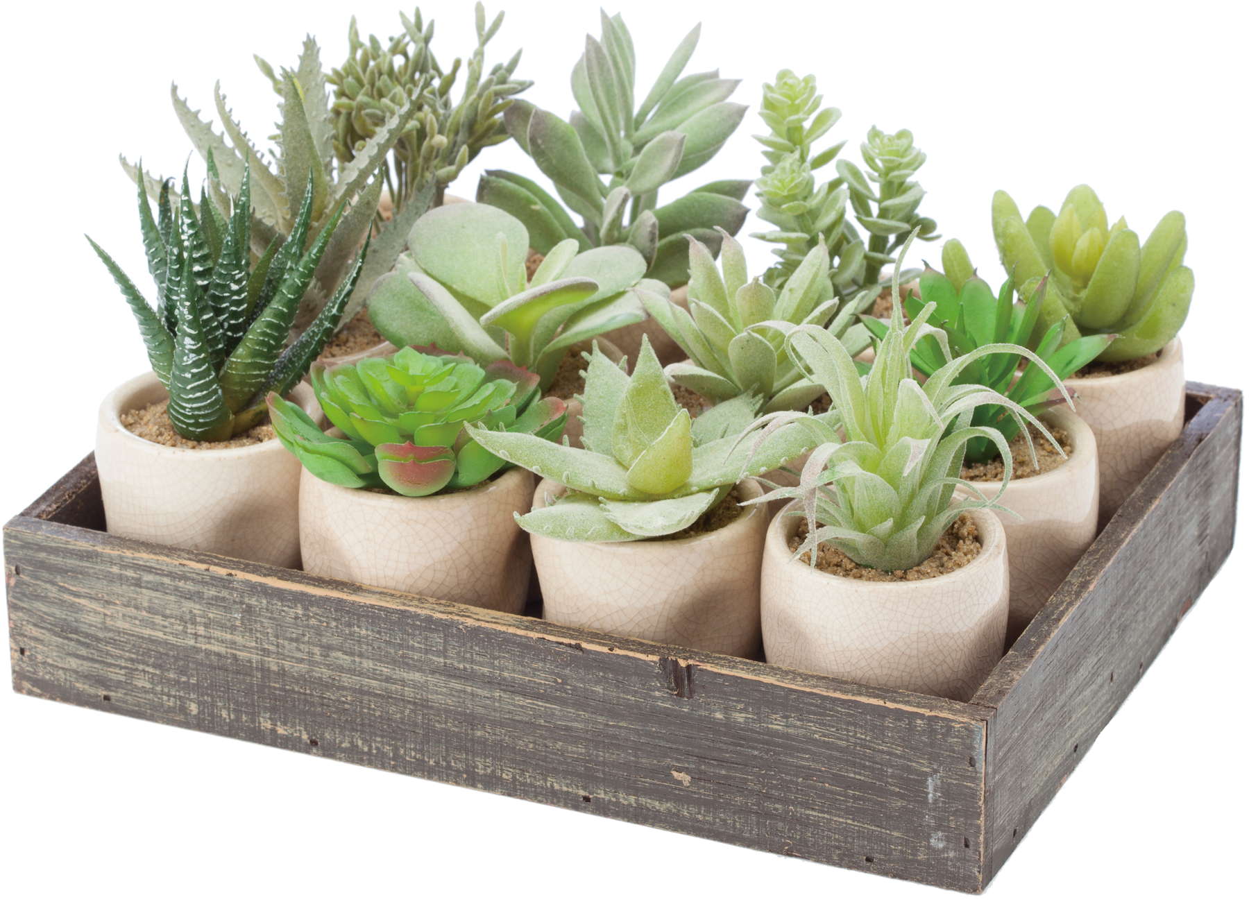 アソートカクタスコンテナ　１２ＡＳＴ　　GLA-1262　4961823639319　造花（アーティフィシャルフラワー） > 観葉植物