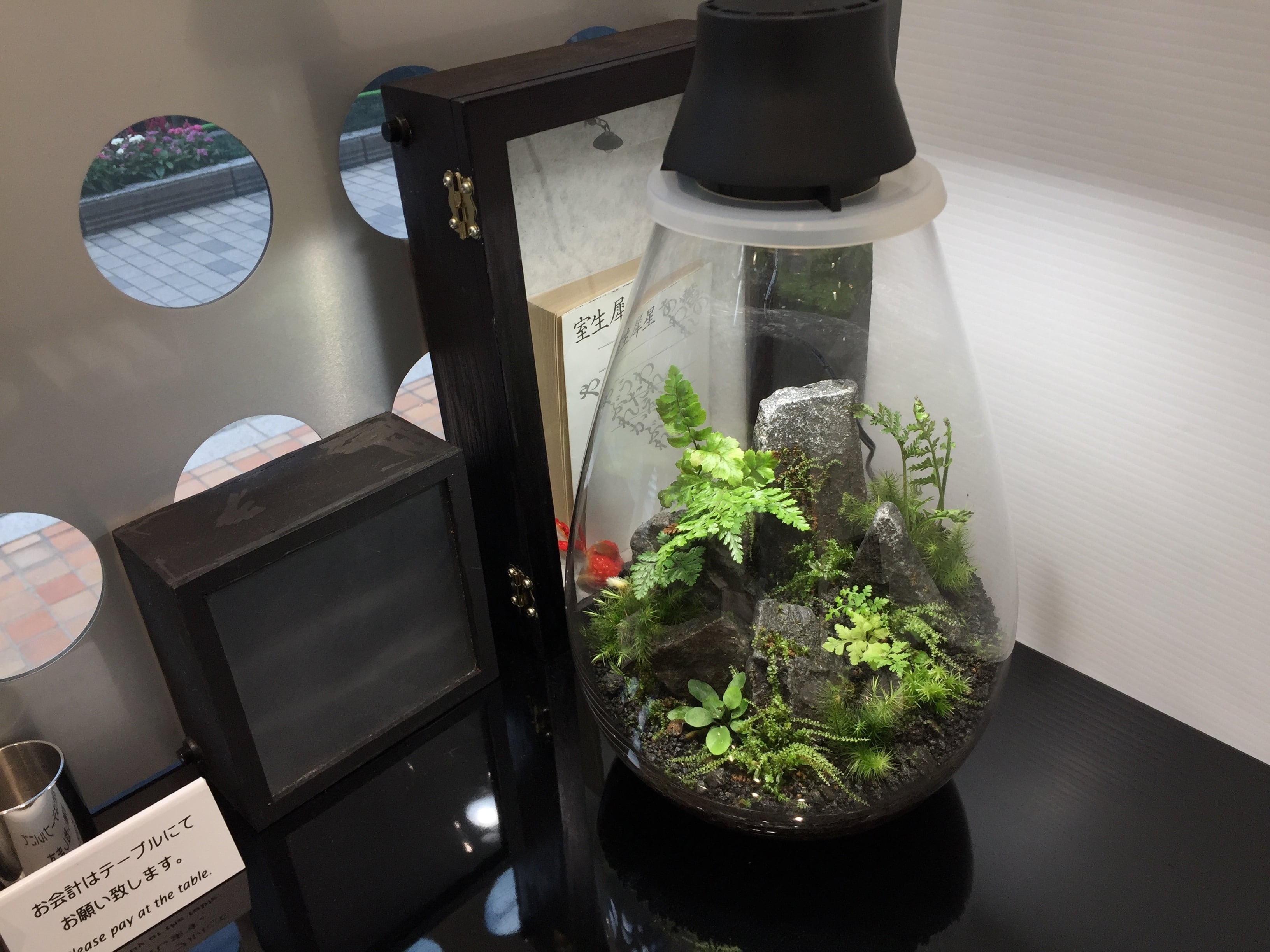 Japanese Moss Terrarium with LED lighting, Mosslight Black Brand From Japan  New