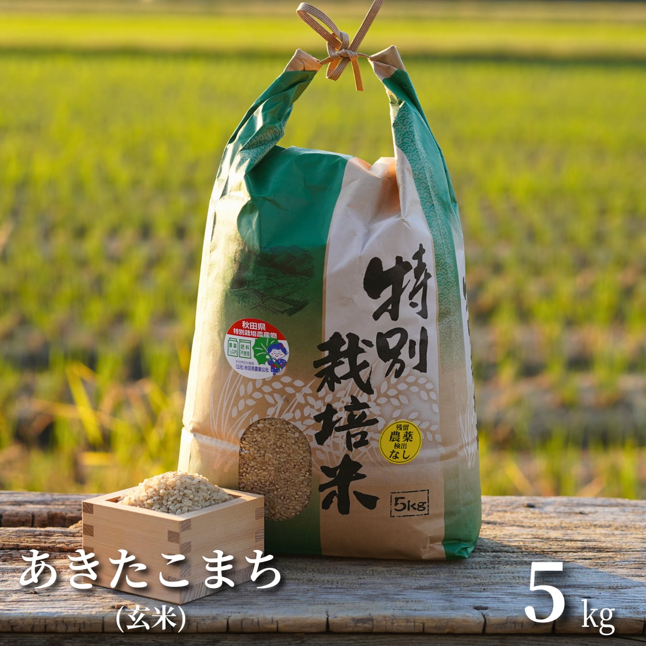 令和6年産　玄米１５キロ（5キロ×3）　あきたこまち　特別栽培米 令和6年産 あきたこまち 玄米 約20キロ 特別栽培米 令和6年産