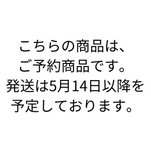 ：予約受付中！5月14日以降の発送：クール便【Brewers One】Oriental Magician-Dark Lager-　byHead Brewer Syoichi Ida 2本入りBOX