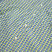 POLO RALPH LAUREN blake check button down shirt