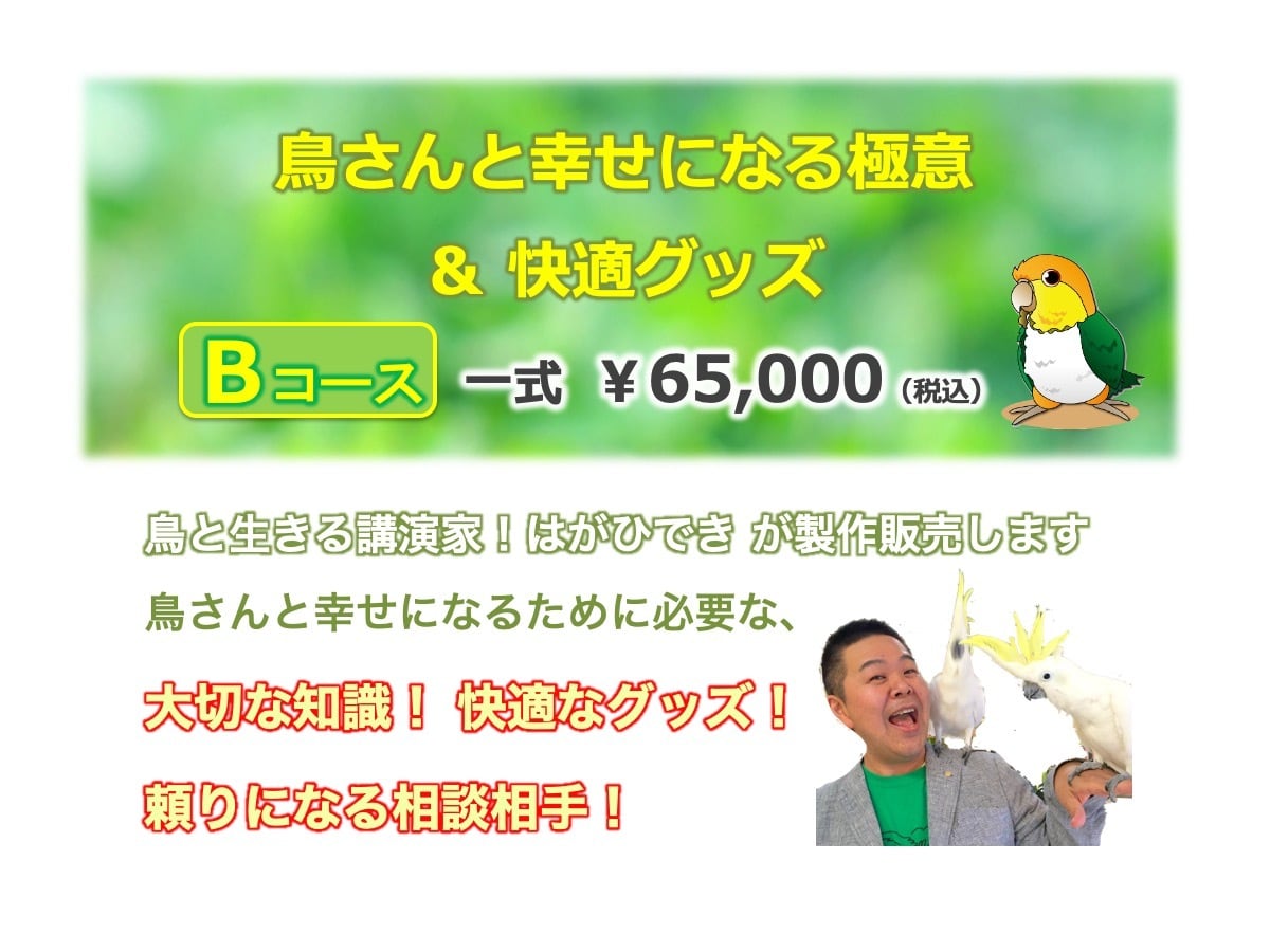 鳥さんと幸せになる極意 快適グッズ 一式 Bコース 65 000 送料無料 インコとオウム先生のいるお店 ふわふわインコ