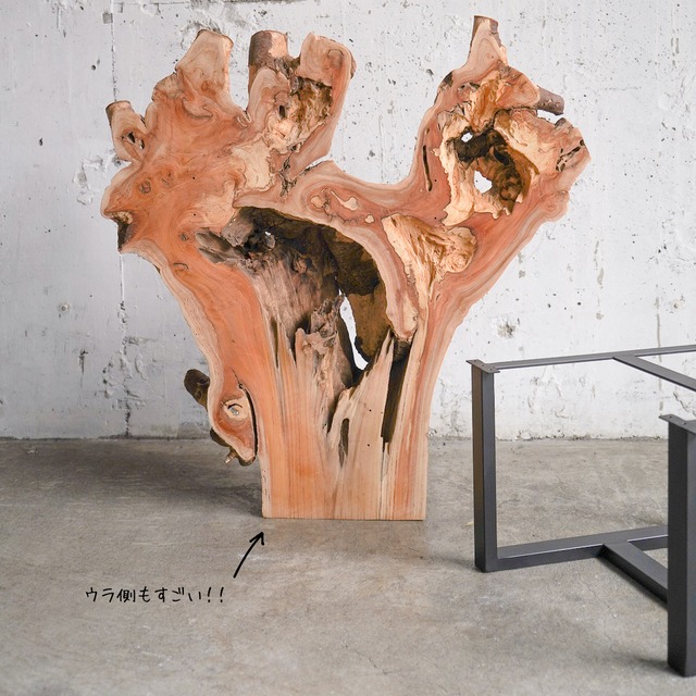 けやきの変木一枚板 ローテーブル