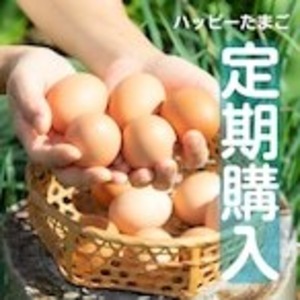 【定期便☆40個・2週間ごと】放し飼いコッコちゃんの【ハッピーたまご】