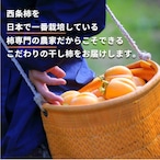【11月発送】柿農家「柿壺」西条柿の干し柿　（中玉 ６個入）×３パック