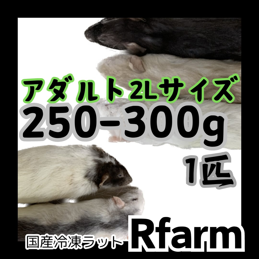 冷凍マウス ファジー 節約 S 100匹セット 送料込み 国産冷凍マウス