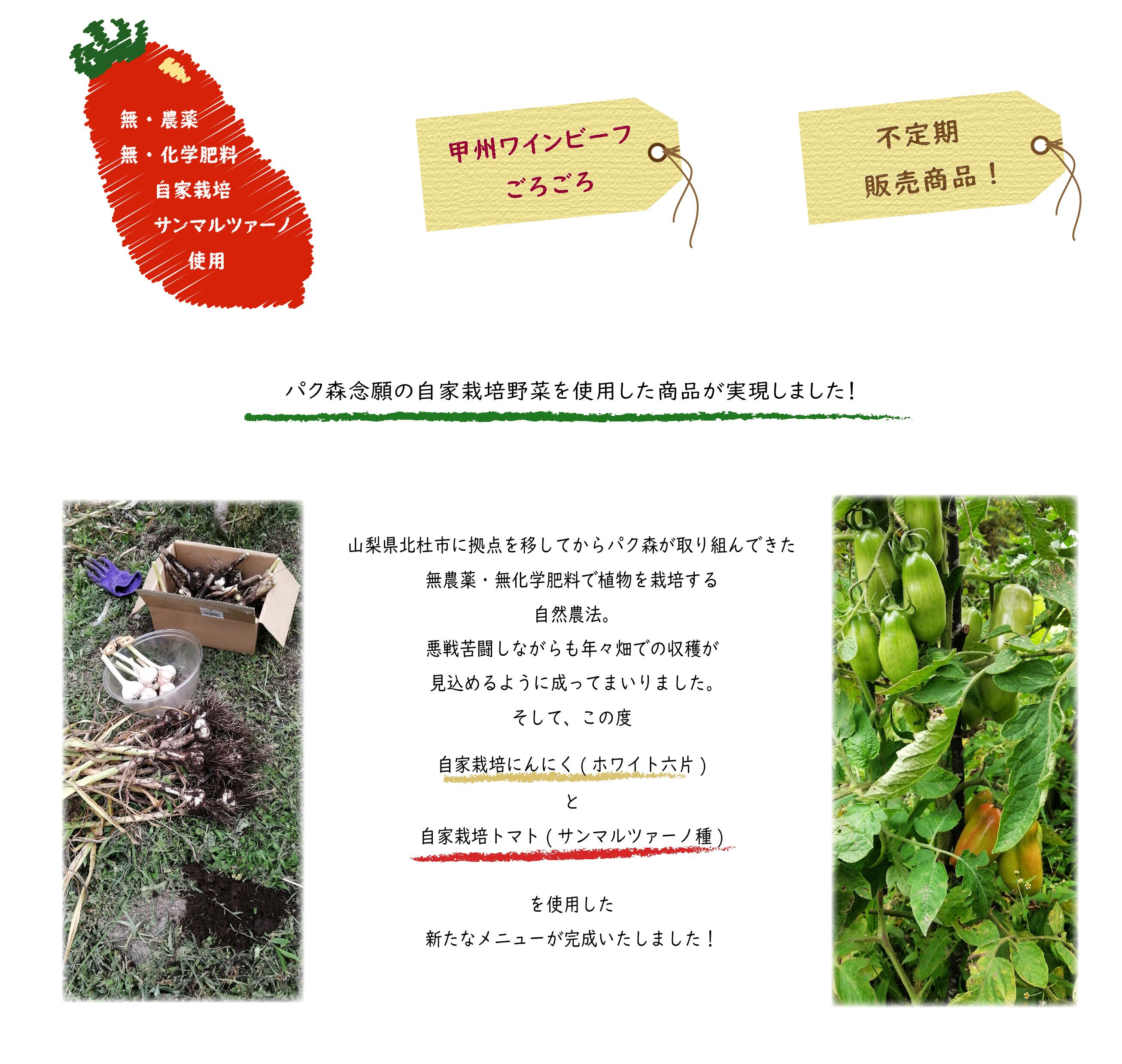 自家製トマトのビーフシチュー