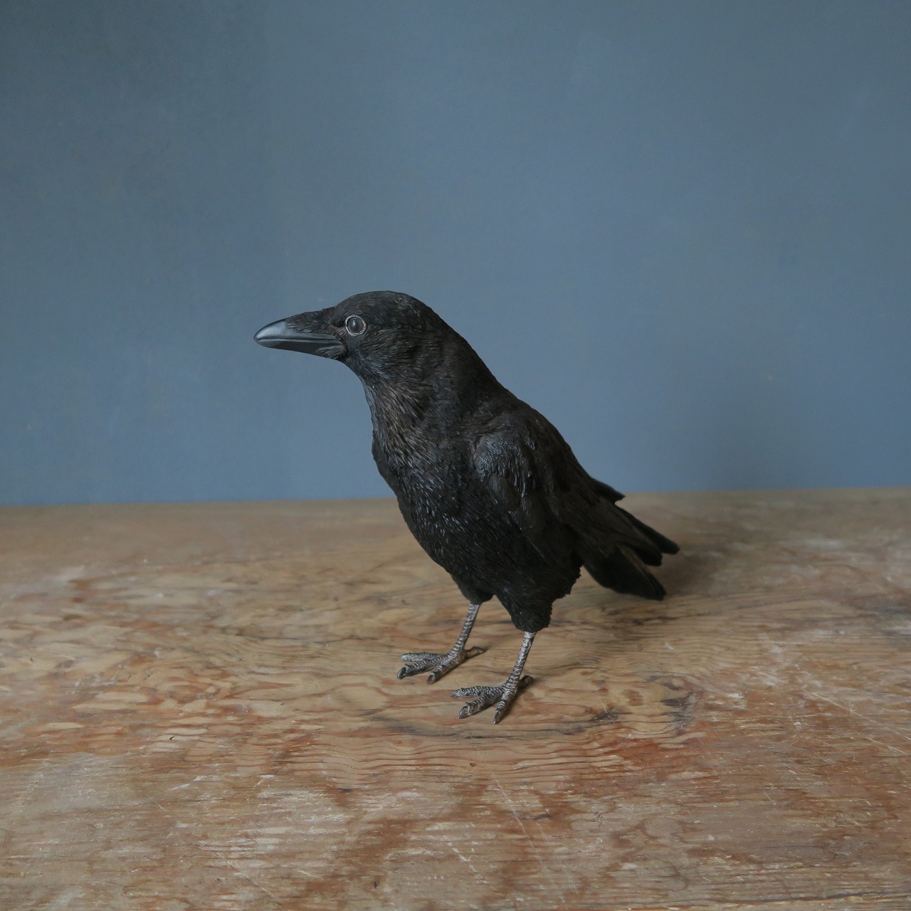 リアルカラスA