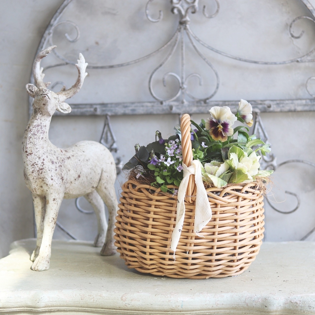 冬から春に楽しむ寄せ植え　パンジーマシェリマダムのシックカラーの小さなバスケットの寄せ植え　お正月にオススメ　届いてすぐ玄関に飾れる 　プレゼントにもオススメ　