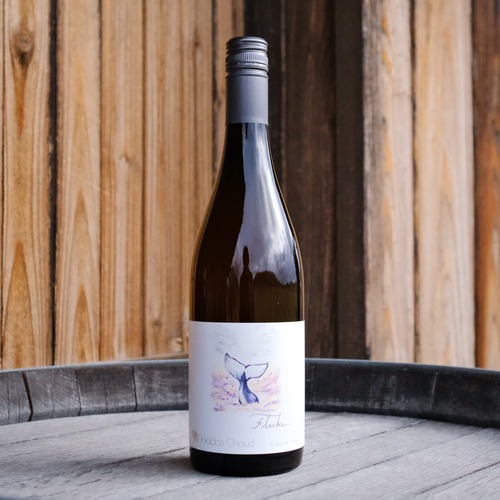 Fluke 2024 / 幸運な偶然