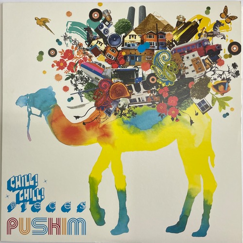 PUSHIM - CHILL CHILL PIECES