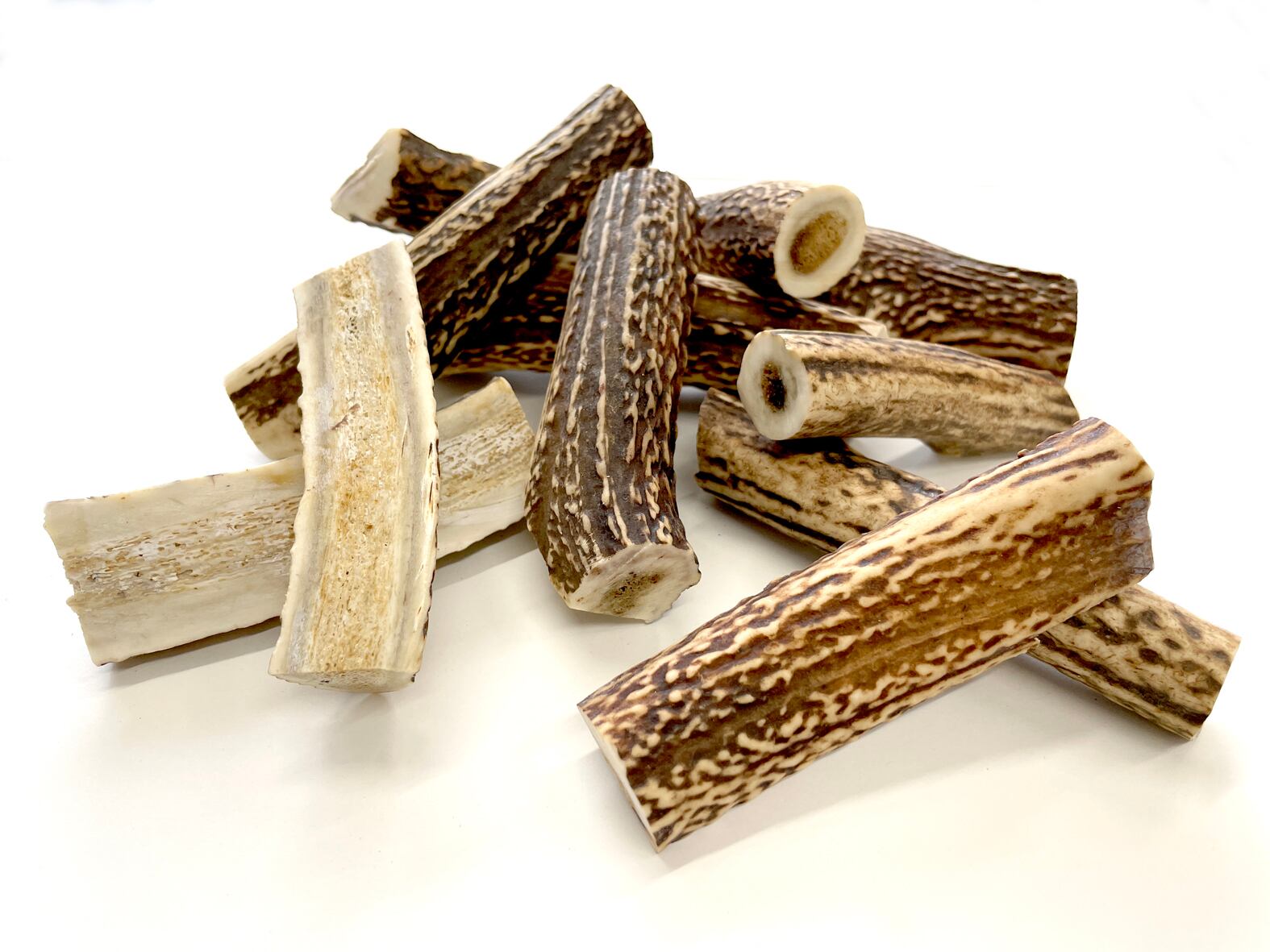 No.2 Honshu Deer Antlers ［本州鹿の角］ | Shiro's Pet Products 無