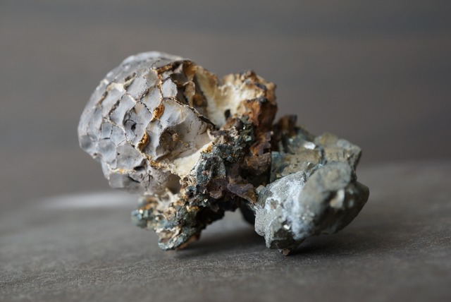 亀甲石 / パイライト Septarian / Pyrite 1237