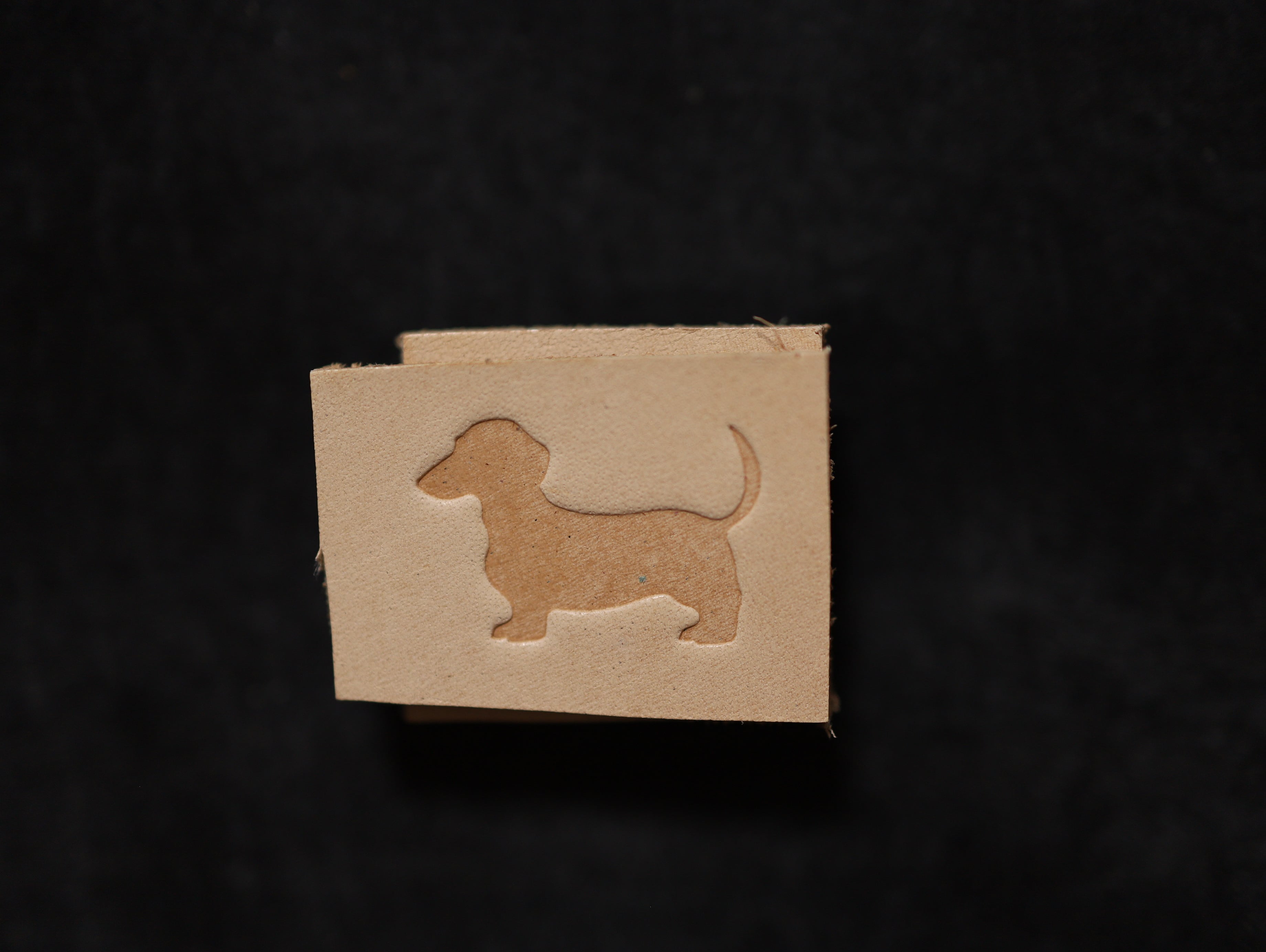 【アクリル刻印】ミニチュアダックスフンド　犬　レザークラフト用