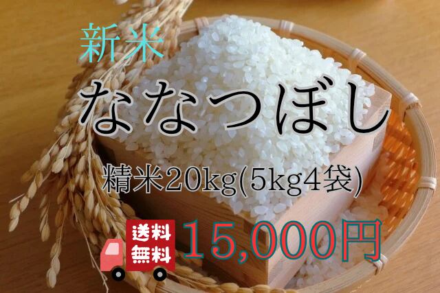 7年産 北海道産米 ななつぼし 20kg(5kg☓4) 送料無料 精米 | 北海道 米