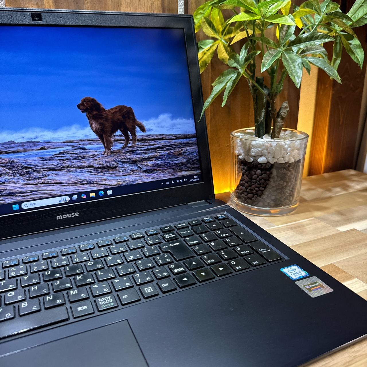 \ 公式ショップ限定価格❣️/ おすすめ《ハイスペック》Mouse 最高峰 Corei7 第8世代 15インチ メモリ8GB SSD256GB ノートパソコン 安心サポート&3ヶ月保証付き