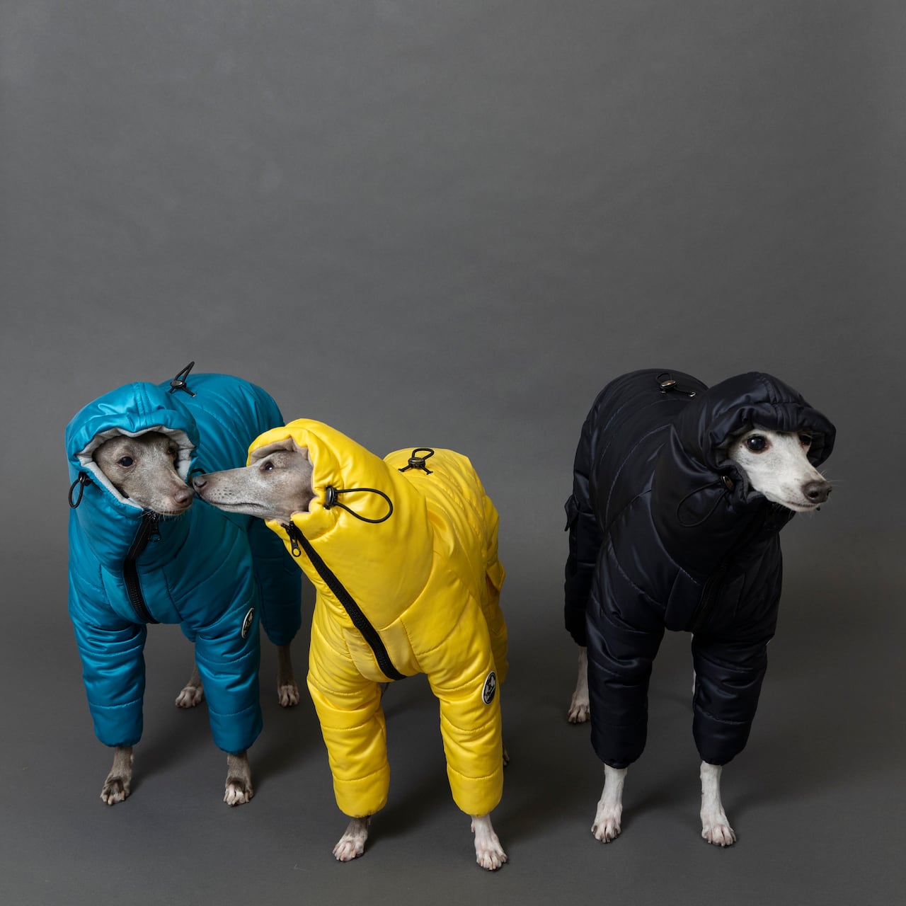 ダウンスノースーツ2024 turquoise（ターコイズ） / イタグレ服