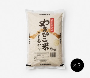 やまびこ米コシヒカリ 白米 / 10キロ