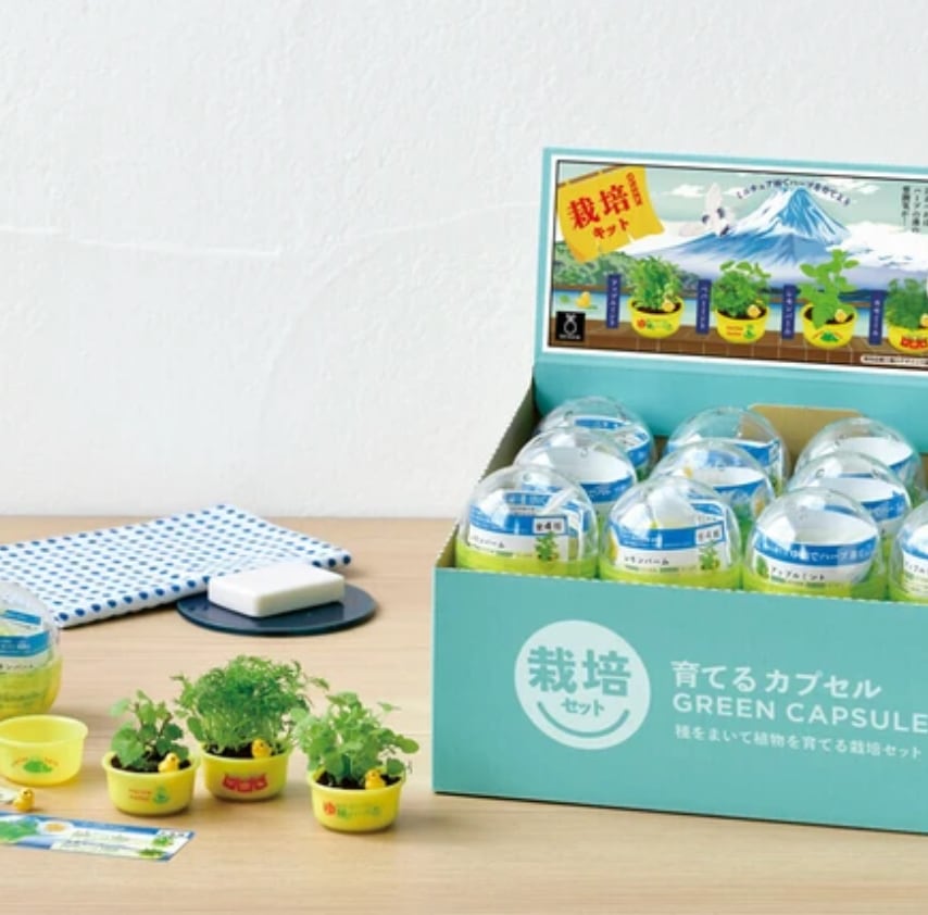 【専用品】起きあがりこぼし トンガリ頭の起き上がりこぼし | emzemz