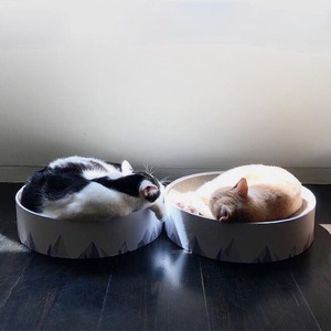 cat's 山形爪とぎベットー83