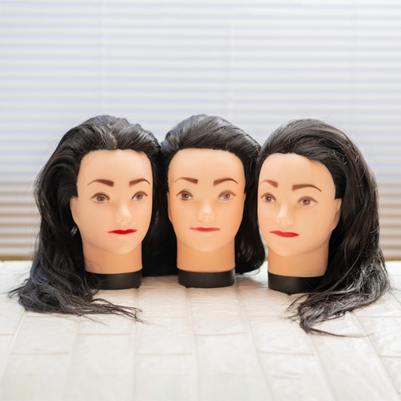 カットウィッグ美容師実技試験練習6体セット 