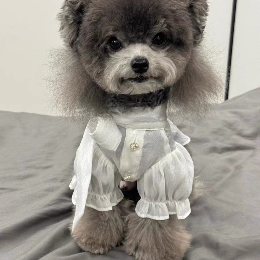 夢みるホワイトフリルブラウス 00525