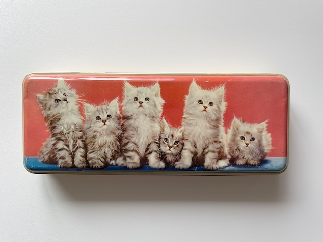 【イギリス】6匹の子猫がハイチーズ！缶