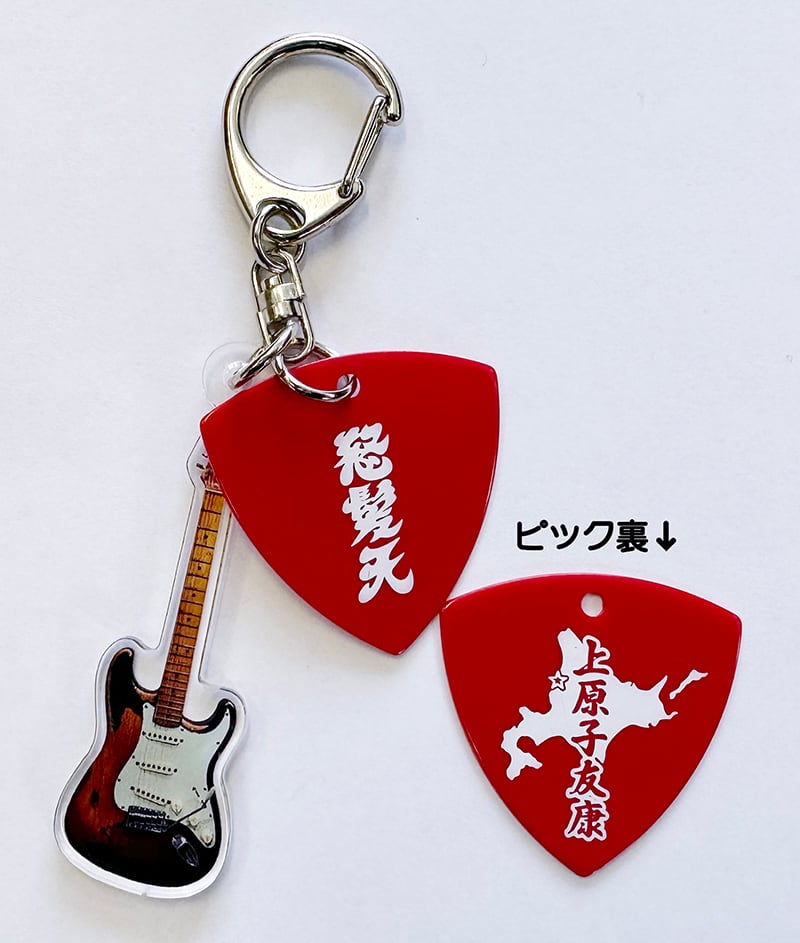 hide　ギターピックキーホルダー全10種 hideギターピックキーホルダー全10種