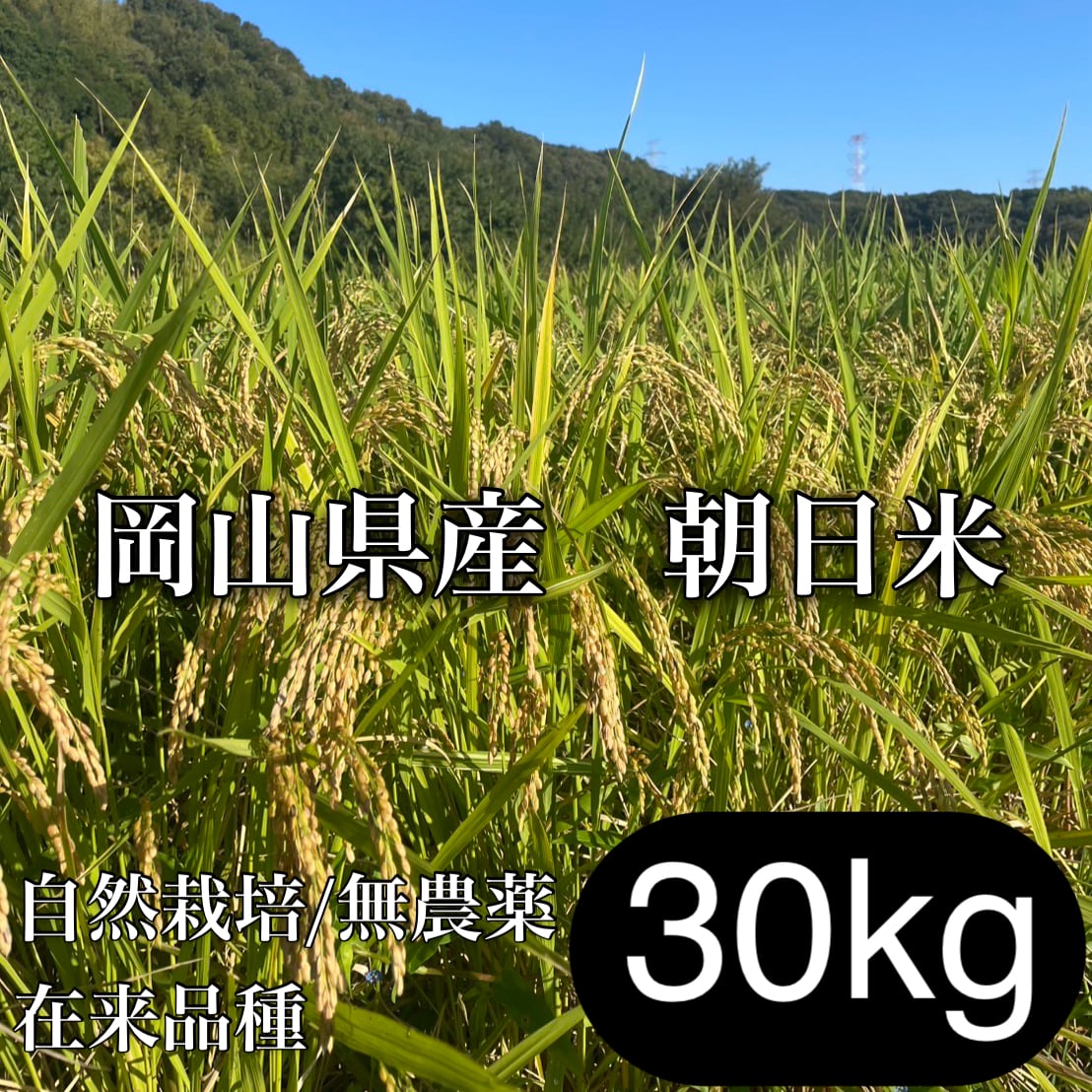 岡山県産 朝日米 30kg｜玄米｜無農薬｜自然栽培｜7年産 | 自然食品
