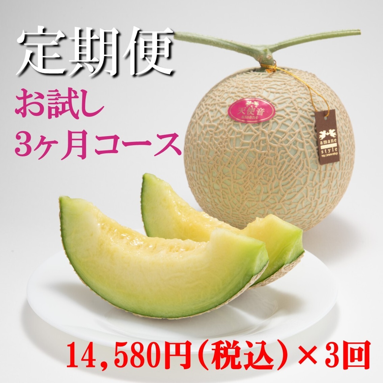 天使音マスクメロン【定期便】 毎月1玉(お試し3ヶ月コース)