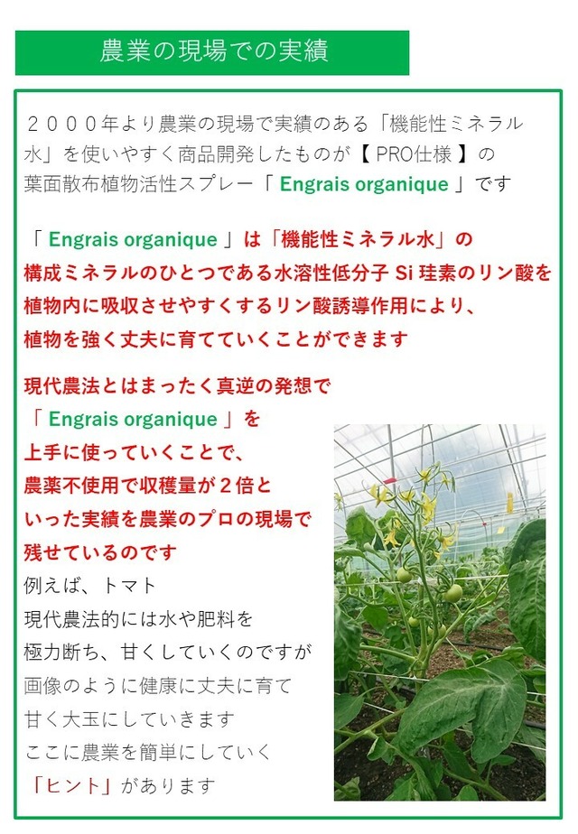 葉面散布植物活性 詰替用１本 Engrais Organique Pro仕様 D0 C1 1518 S Web Shop
